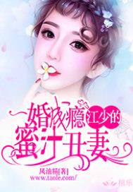 一婚成瘾:江少的蜜汁丑妻