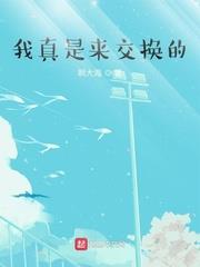 我真是来交换的